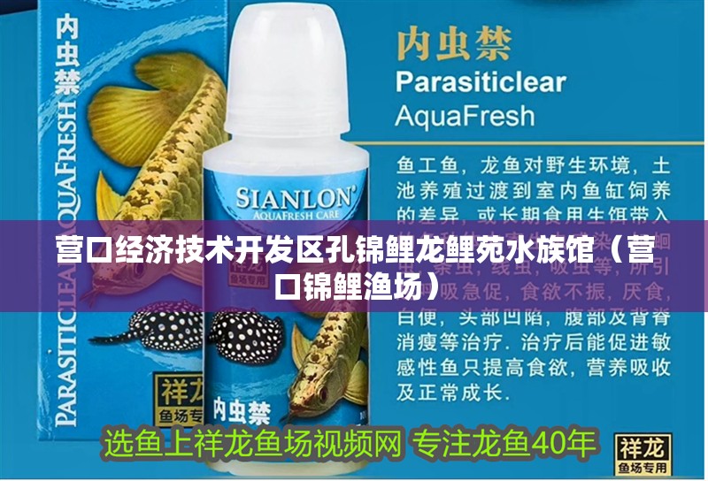 營口經濟技術開發區孔錦鯉龍鯉苑水族館（營口錦鯉漁場）