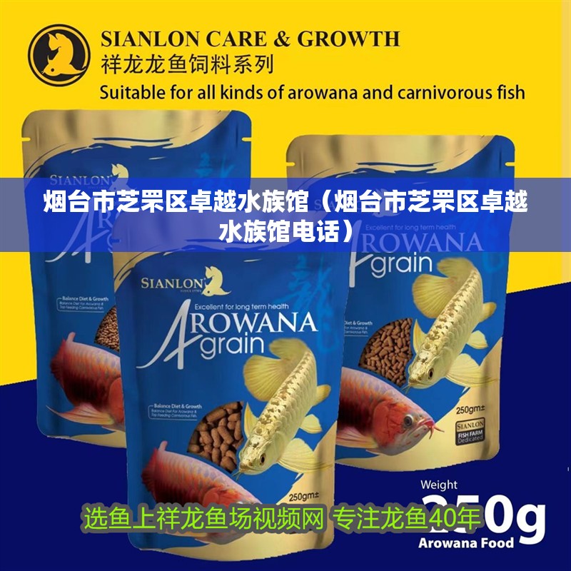 煙臺市芝罘區卓越水族館（煙臺市芝罘區卓越水族館電話）