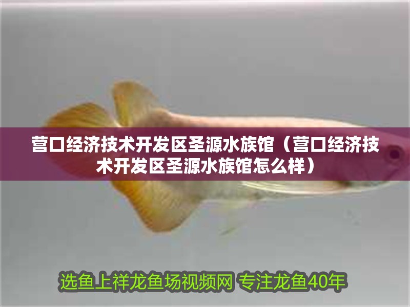 營口經(jīng)濟(jì)技術(shù)開發(fā)區(qū)圣源水族館（營口經(jīng)濟(jì)技術(shù)開發(fā)區(qū)圣源水族館怎么樣）