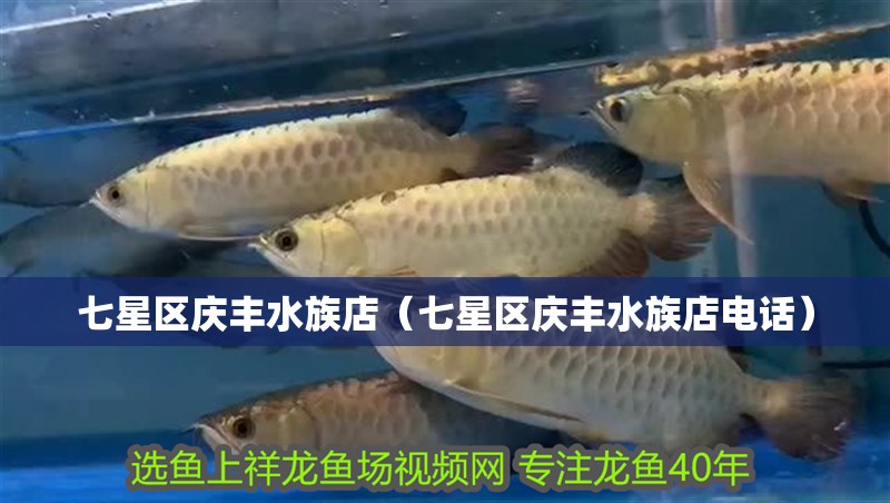 七星區慶豐水族店（七星區慶豐水族店電話）