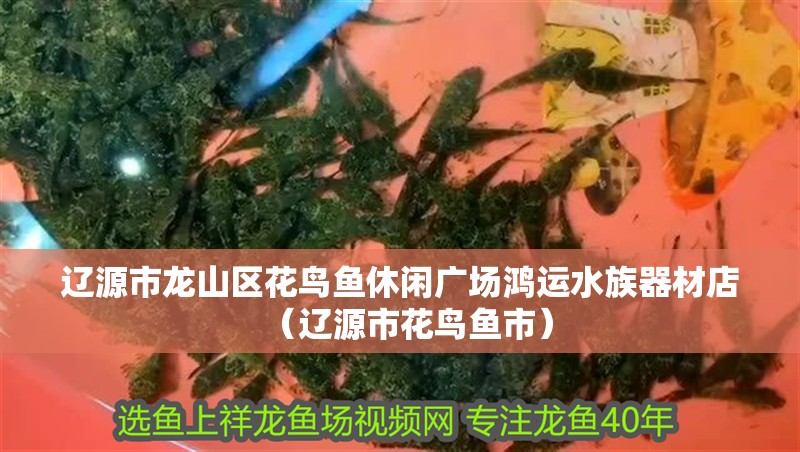 遼源市龍山區花鳥魚休閑廣場鴻運水族器材店（遼源市花鳥魚市）