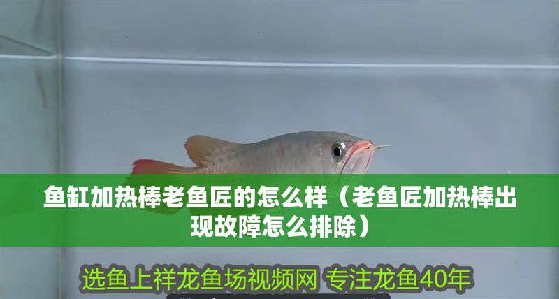 魚缸加熱棒老魚匠的怎么樣（老魚匠加熱棒出現故障怎么排除）