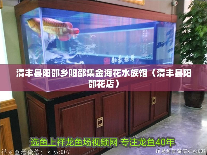 清豐縣陽邵鄉陽邵集金海花水族館（清豐縣陽邵花店）