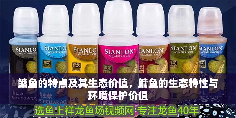 鳙魚的特點及其生態價值，鳙魚的生態特性與環境保護價值