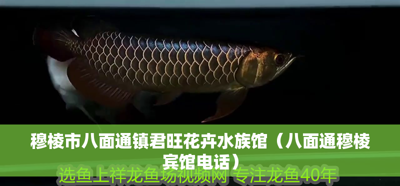 穆棱市八面通鎮君旺花卉水族館（八面通穆棱賓館電話）