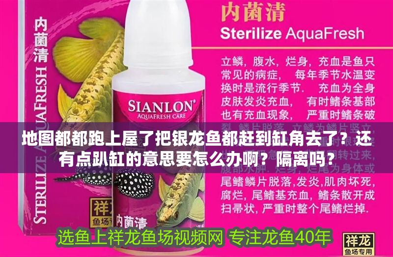 地圖都都跑上屋了把銀龍魚都趕到缸角去了？還有點(diǎn)趴缸的意思要怎么辦啊？隔離嗎？