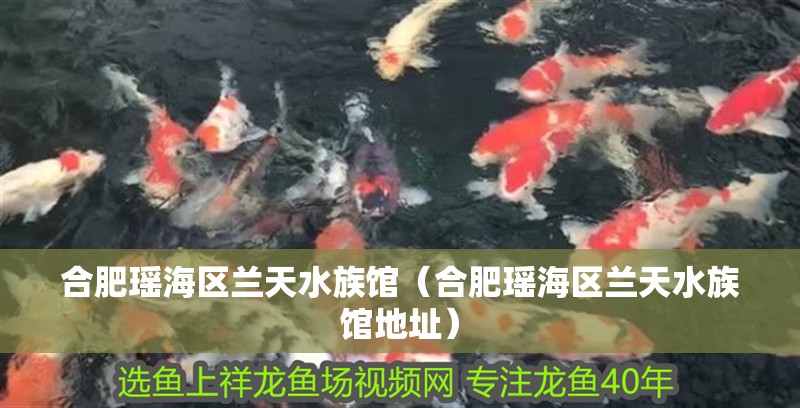 合肥瑤海區蘭天水族館（合肥瑤海區蘭天水族館地址）