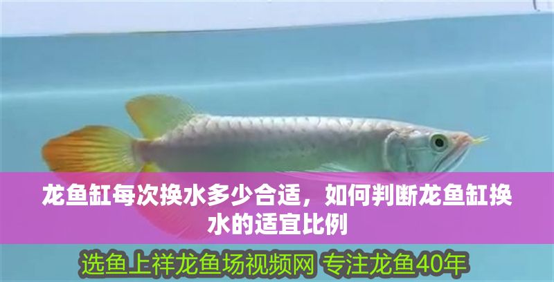 龍魚缸每次換水多少合適，如何判斷龍魚缸換水的適宜比例