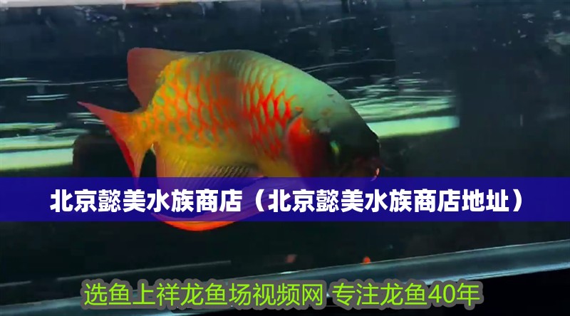 北京懿美水族商店（北京懿美水族商店地址）