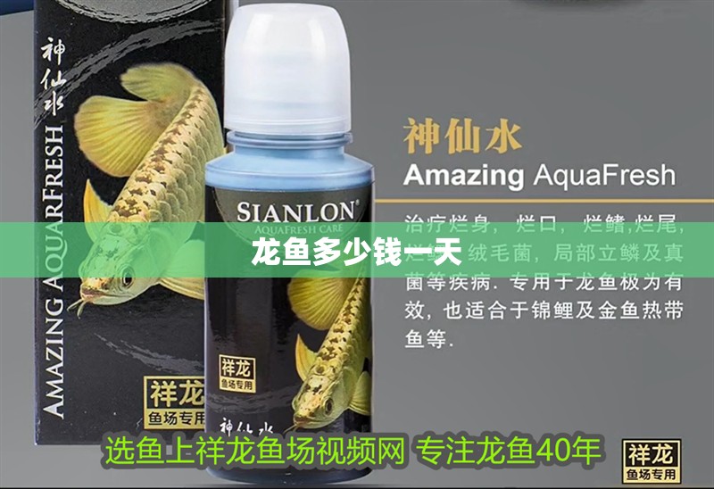 龍魚多少錢一天