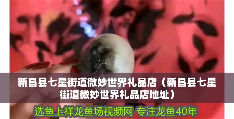 新昌縣七星街道微妙世界禮品店（新昌縣七星街道微妙世界禮品店地址）