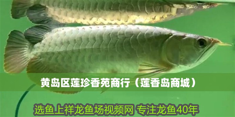 黃島區(qū)蓮珍香苑商行（蓮香島商城）