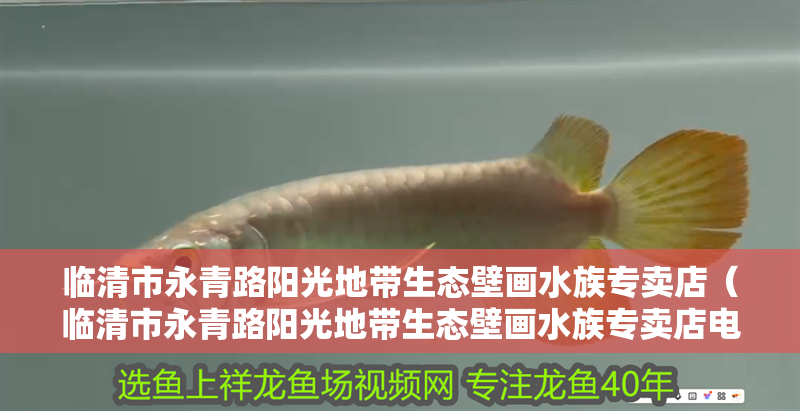 臨清市永青路陽光地帶生態壁畫水族專賣店（臨清市永青路陽光地帶生態壁畫水族專賣店電話）