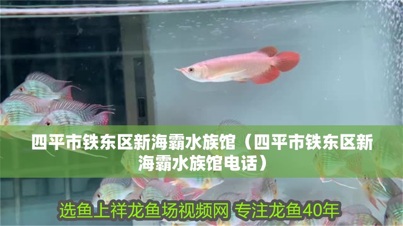 四平市鐵東區新海霸水族館（四平市鐵東區新海霸水族館電話）