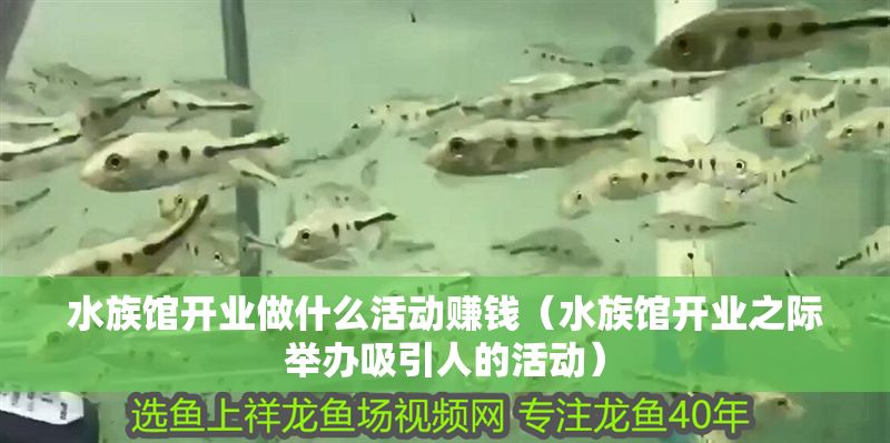 水族館開業做什么活動賺錢（水族館開業之際舉辦吸引人的活動）