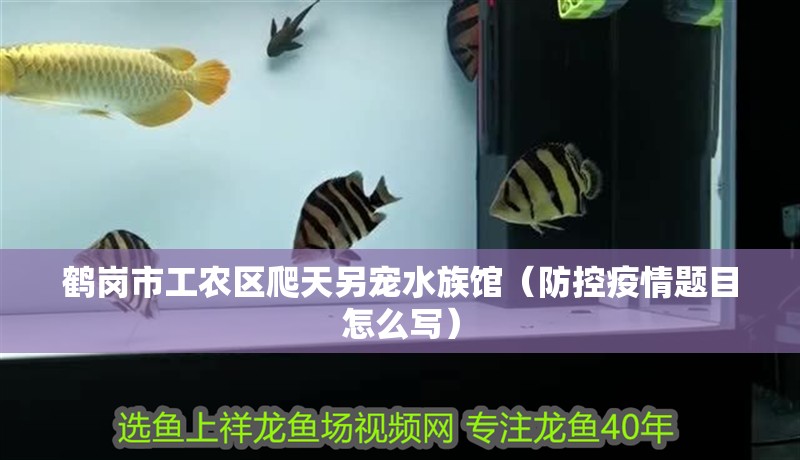 鶴崗市工農區爬天另寵水族館（防控疫情題目怎么寫）