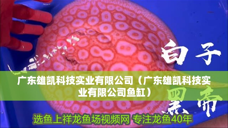 廣東雄凱科技實業有限公司（廣東雄凱科技實業有限公司魚缸）