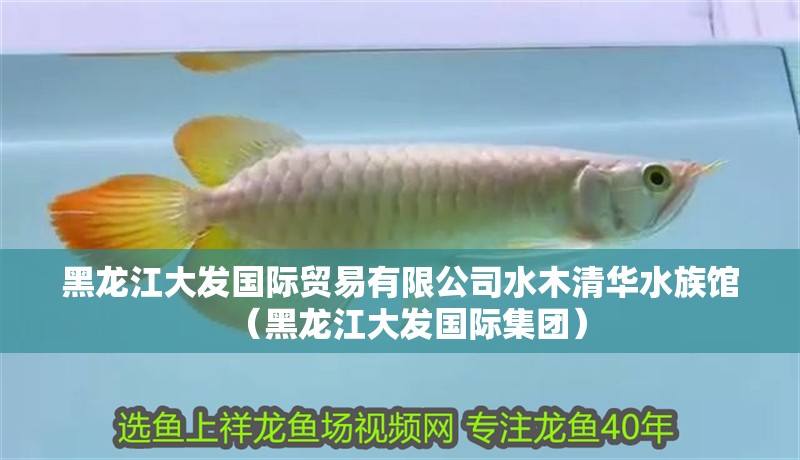 黑龍江大發(fā)國(guó)際貿(mào)易有限公司水木清華水族館（黑龍江大發(fā)國(guó)際集團(tuán)）
