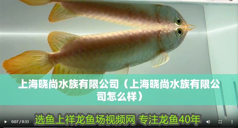 上海曉尚水族有限公司（上海曉尚水族有限公司怎么樣）