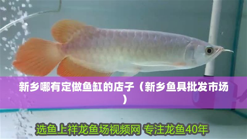 新鄉哪有定做魚缸的店子（新鄉魚具批發市場）