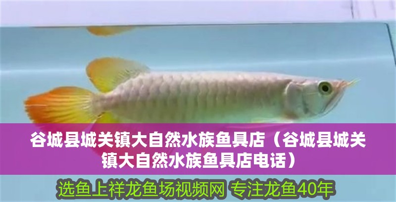 谷城縣城關鎮大自然水族魚具店（谷城縣城關鎮大自然水族魚具店電話）