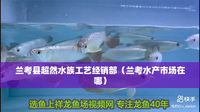 蘭考縣超然水族工藝經(jīng)銷部（蘭考水產(chǎn)市場在哪）
