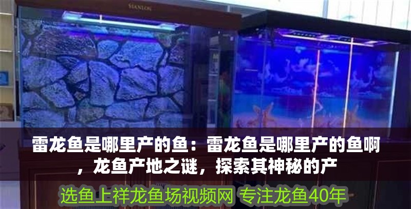 雷龍魚是哪里產的魚：雷龍魚是哪里產的魚啊，龍魚產地之謎，探索其神秘的產