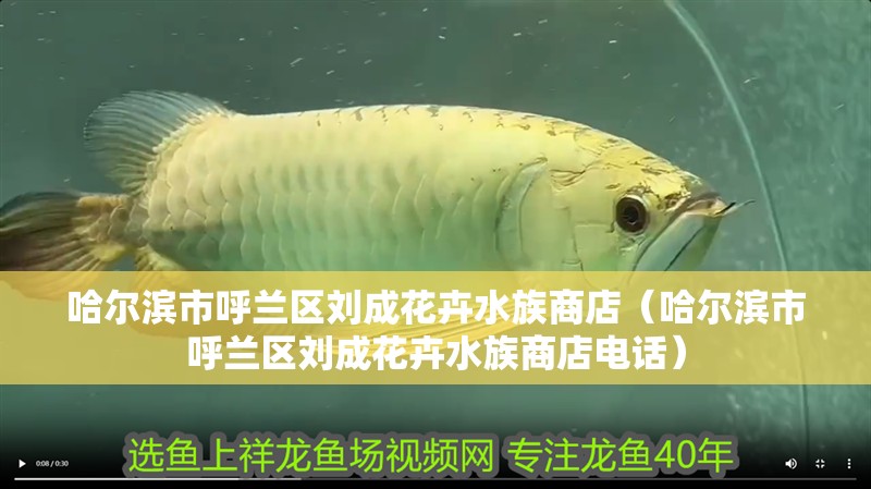 哈爾濱市呼蘭區(qū)劉成花卉水族商店（哈爾濱市呼蘭區(qū)劉成花卉水族商店電話）