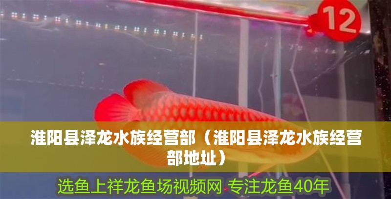 淮陽縣澤龍水族經營部（淮陽縣澤龍水族經營部地址）