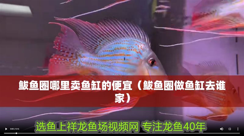 鲅魚圈哪里賣魚缸的便宜（鲅魚圈做魚缸去誰家）