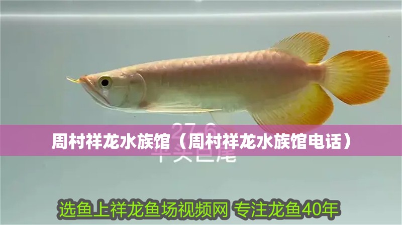 周村祥龍水族館（周村祥龍水族館電話）