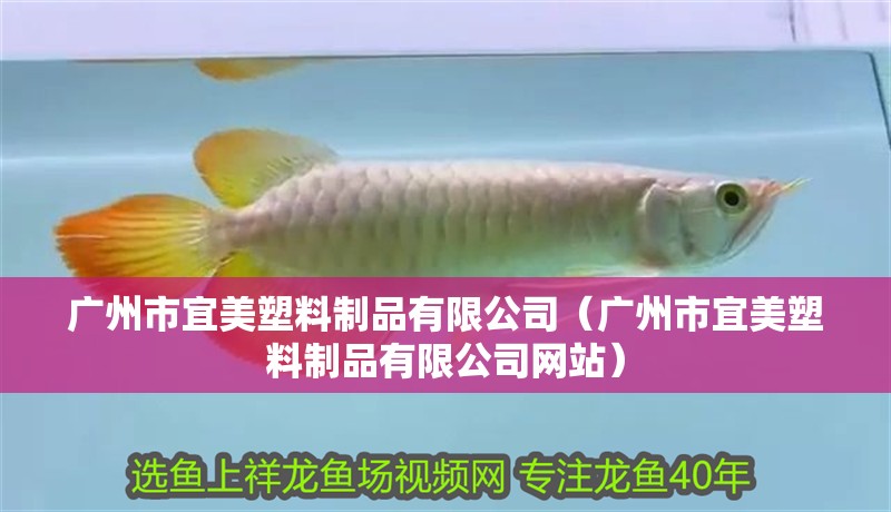 廣州市宜美塑料制品有限公司（廣州市宜美塑料制品有限公司網(wǎng)站）