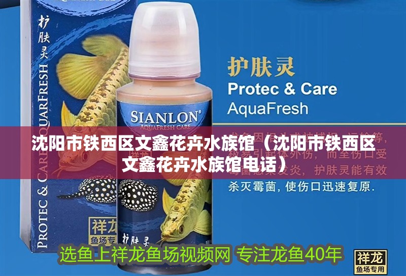 沈陽市鐵西區文鑫花卉水族館（沈陽市鐵西區文鑫花卉水族館電話） 沈陽市鐵西區文鑫花卉水族館（沈陽市鐵西區文鑫花卉水族館電話） 全國水族館企業名錄 第2張