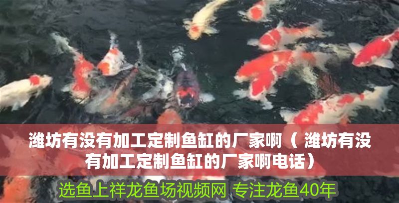 濰坊有沒有加工定制魚缸的廠家啊（ 濰坊有沒有加工定制魚缸的廠家啊電話）