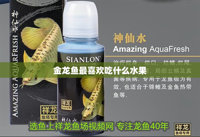 金龍魚最喜歡吃什么水果