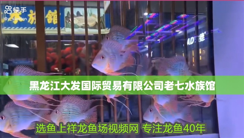 黑龍江大發國際貿易有限公司老七水族館