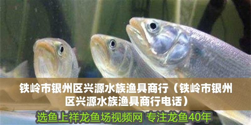 鐵嶺市銀州區(qū)興源水族漁具商行（鐵嶺市銀州區(qū)興源水族漁具商行電話）