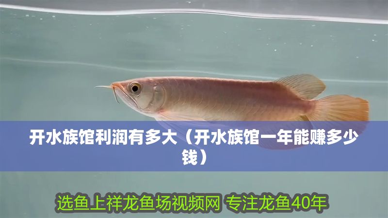 開(kāi)水族館利潤(rùn)有多大（開(kāi)水族館一年能賺多少錢(qián)）