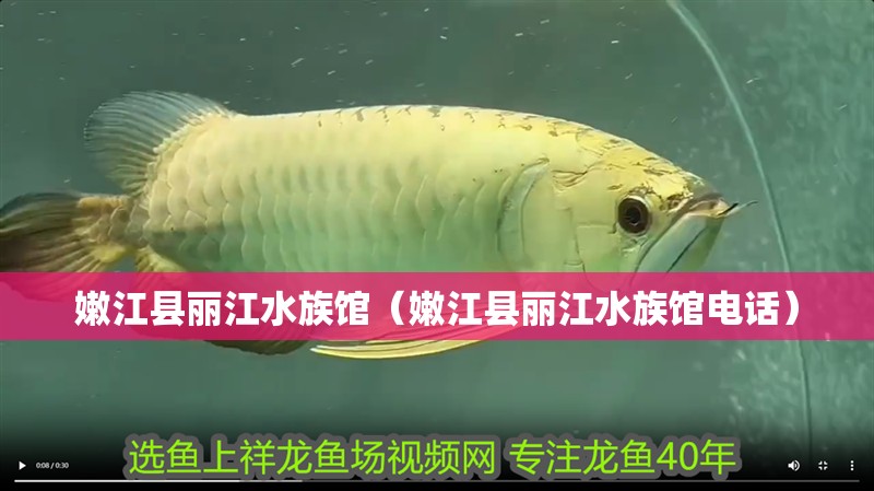 嫩江縣麗江水族館（嫩江縣麗江水族館電話）