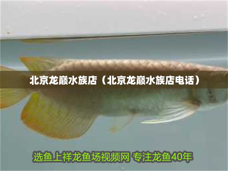 北京龍巔水族店（北京龍巔水族店電話）