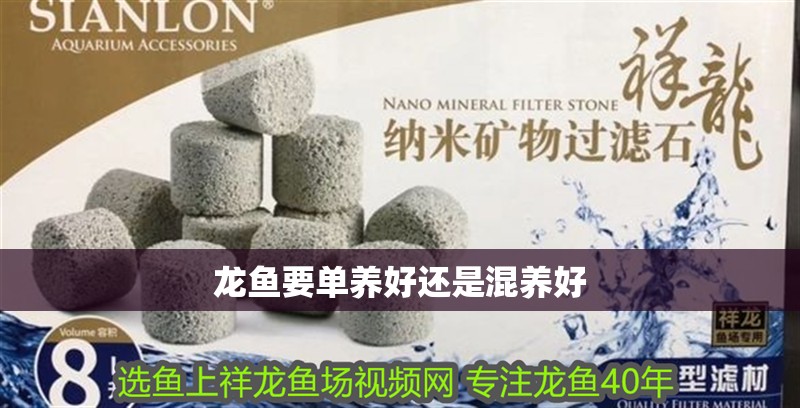 龍魚要單養好還是混養好