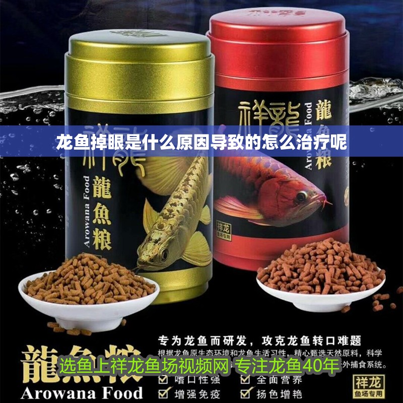 龍魚掉眼是什么原因導致的怎么治療呢