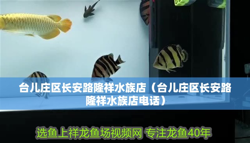 臺兒莊區長安路隆祥水族店（臺兒莊區長安路隆祥水族店電話）