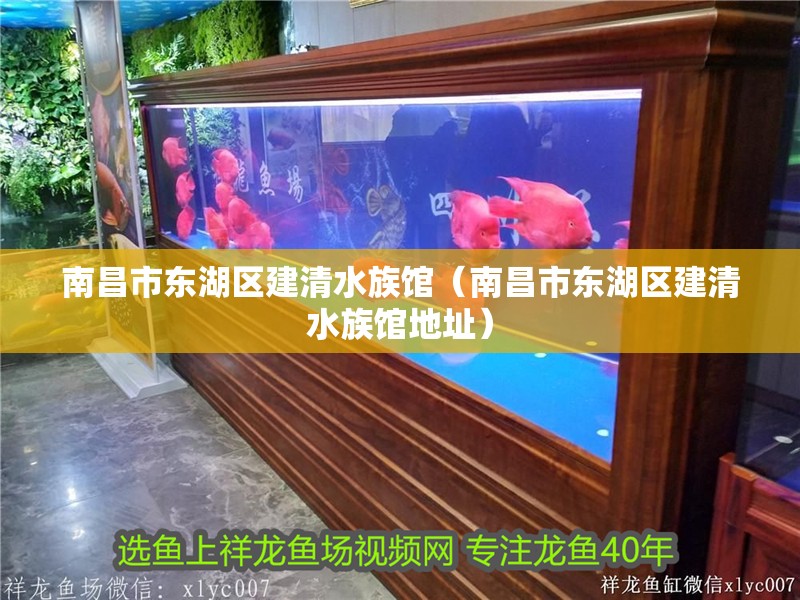 南昌市東湖區建清水族館（南昌市東湖區建清水族館地址）
