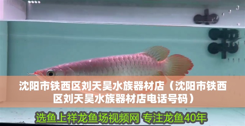 沈陽(yáng)市鐵西區(qū)劉天昊水族器材店（沈陽(yáng)市鐵西區(qū)劉天昊水族器材店電話號(hào)碼）