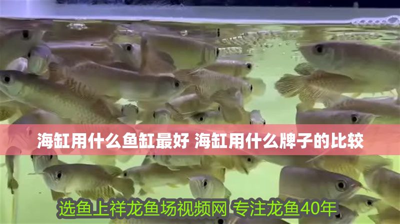 海缸用什么魚缸最好 海缸用什么牌子的比較