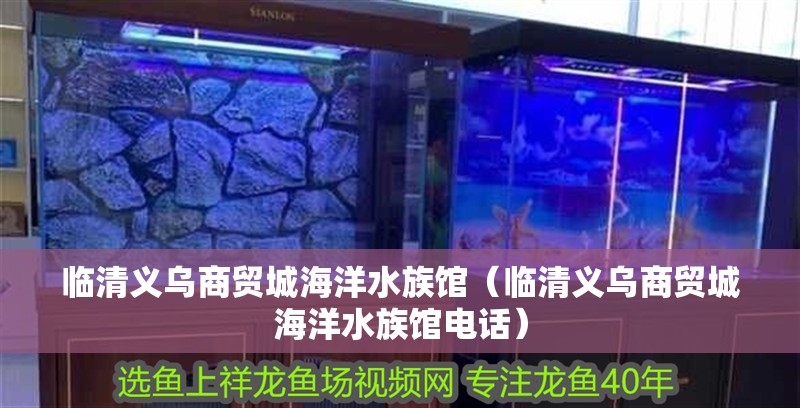 臨清義烏商貿城海洋水族館（臨清義烏商貿城海洋水族館電話） 臨清義烏商貿城海洋水族館（臨清義烏商貿城海洋水族館電話） 全國水族館企業名錄 第2張