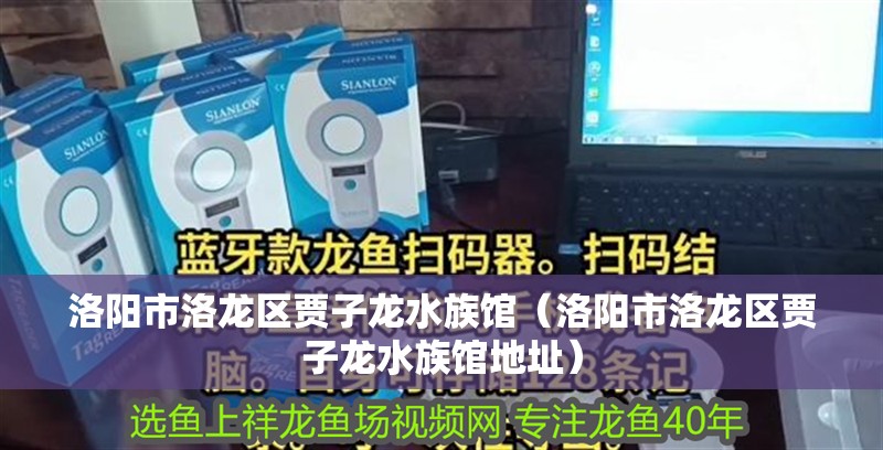 洛陽市洛龍區(qū)賈子龍水族館（洛陽市洛龍區(qū)賈子龍水族館地址）