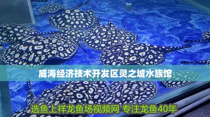 威海經濟技術開發區靈之城水族館
