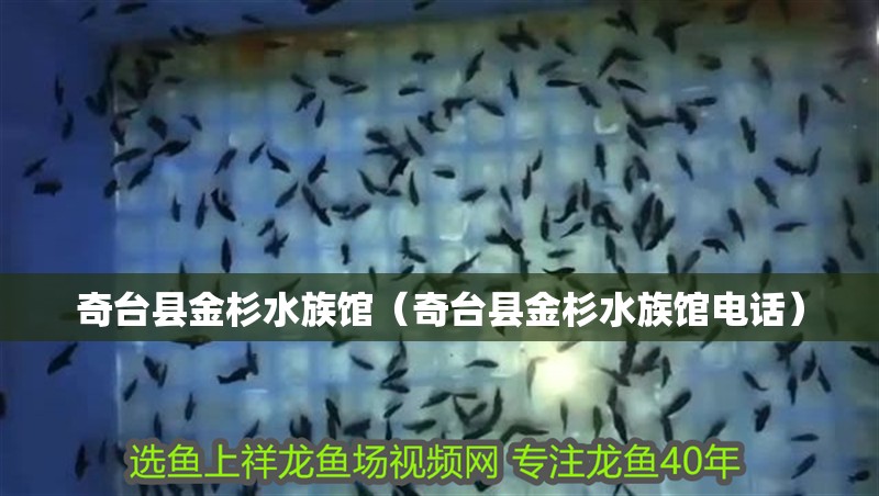 奇臺縣金杉水族館（奇臺縣金杉水族館電話）